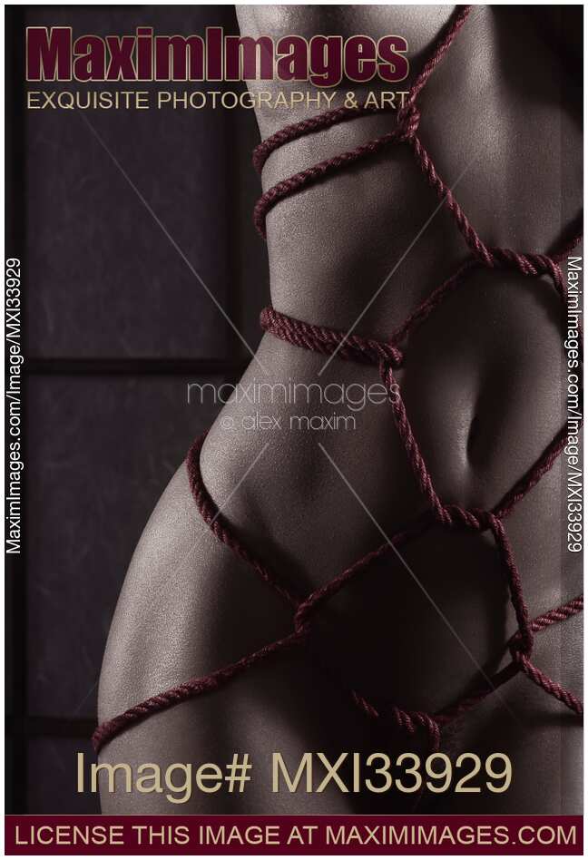 Sensual closeup of a nude woman body with red Shibari bondage ropes on shiny naked skin