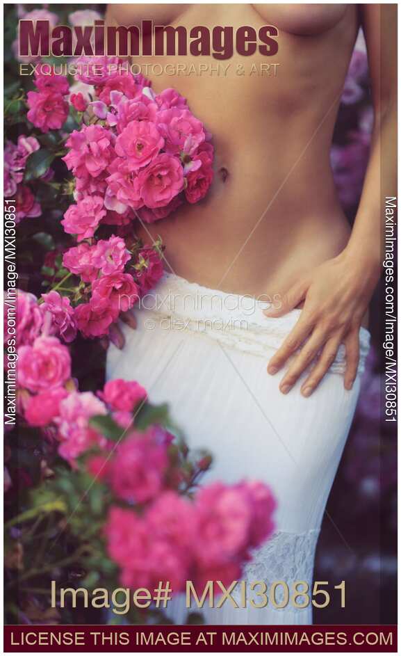 Sensual closeup of a woman half naked body in a rose garden behind pink flowers