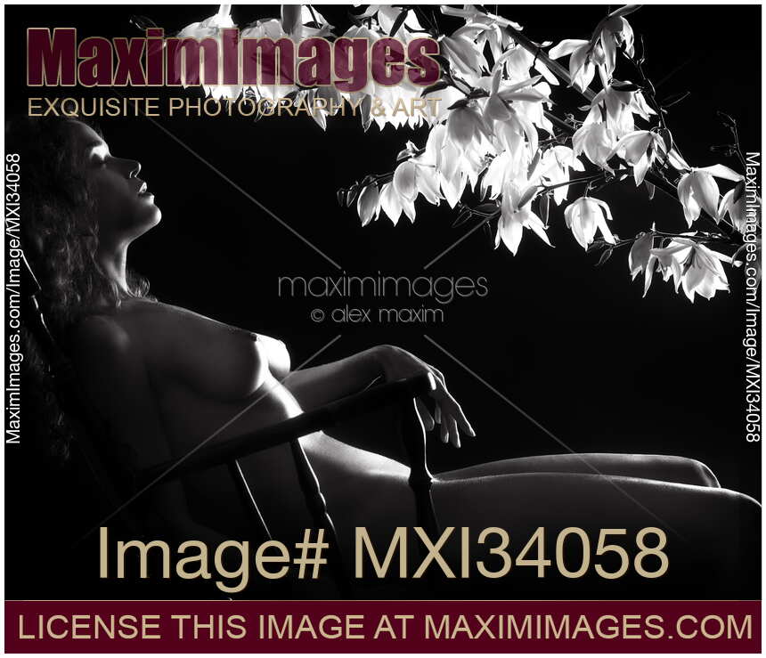 Sensual nude black and white portrait of a beautiful naked sexy young woman reclining relaxed in a chair under white flowers