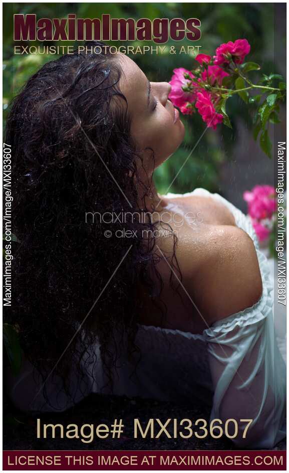 Sensual portrait of a beautiful woman in wet summer dress lying under the rain in a rose garden