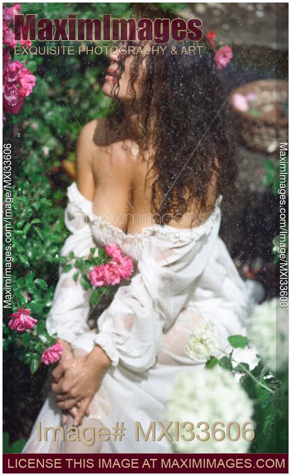 Sensual portrait of a beautiful woman in wet summer dress sitting in rose garden under rain