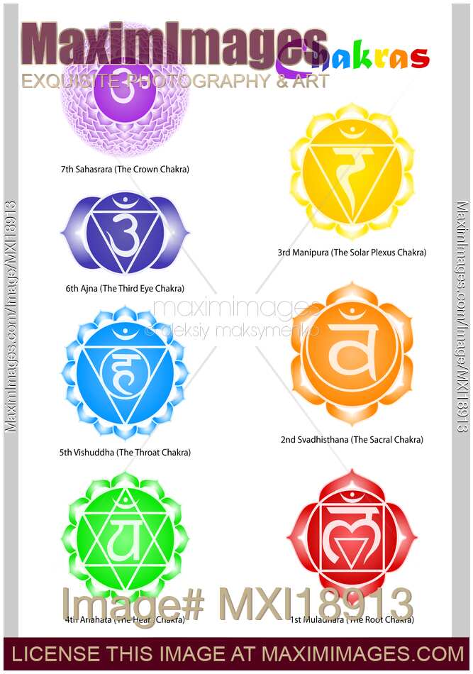 Seven Chakras