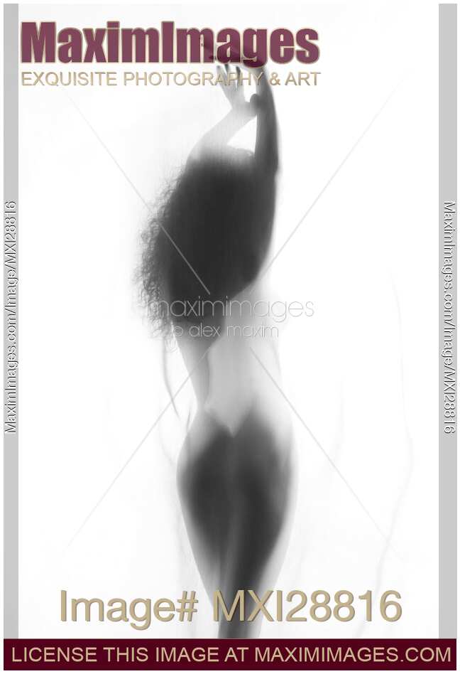 Sexy nude woman back silhouette behind white smoky curtain