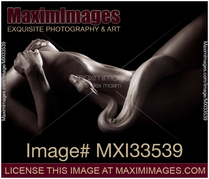 Sexy nude woman body with albino boa snake coiling on her naked skin in dark Black and white