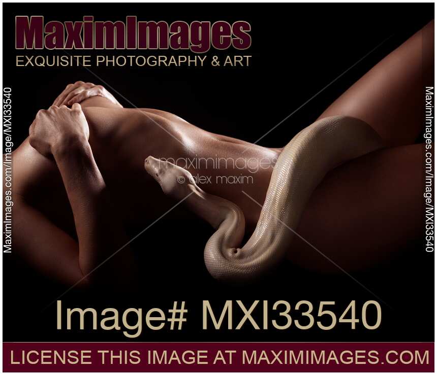 Sexy nude woman body with albino boa snake coiling on her naked skin in dark
