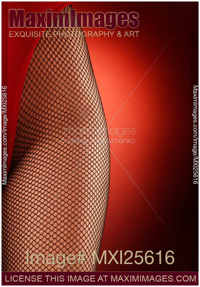 Sexy woman hips in fishnet