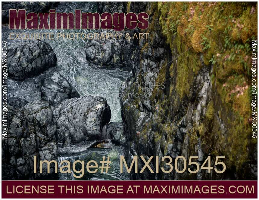 Shiny rocky river bed and mossy banks of the Englishman Vancouver Island nature scenery
