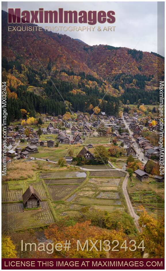 Shirakawa-go traditional Japanese village with Gassho houses and farmland in autumn rural scenery Shirakawago Japan