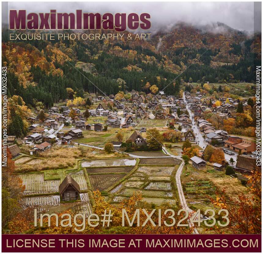 Shirakawago Japanese village in a beautiful autumn aerial scenery Gassho-style farmhouses and rice fields in mountains