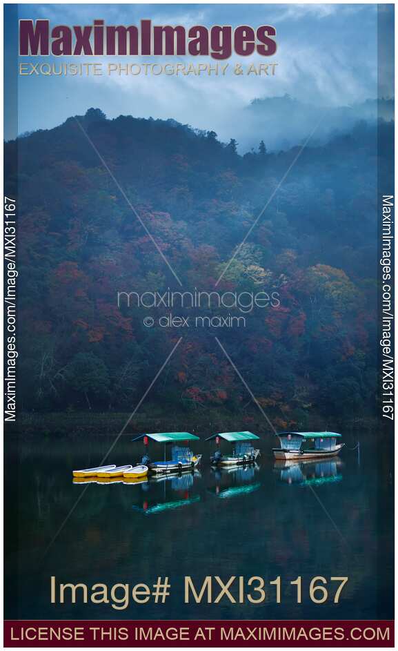 Sightseeing boats in misty autumn morning scenery on Katsura River Kyoto
