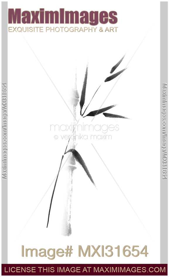Single bamboo stalk and a branch with leaves asian black and white design