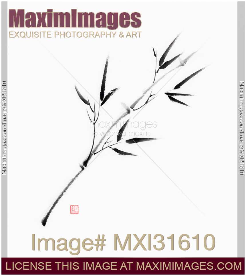 Single branch of young bamboo with leaves sumie ink painting