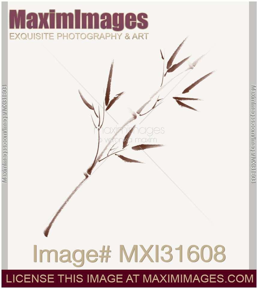 Single brown branch of young bamboo with leaves  illustration in beige and brown