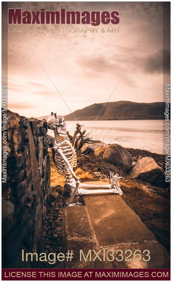 Skeleton sitting on a bench by the sea enjoying sunset in Carlingford Ireland