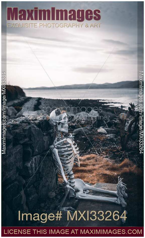 Skeleton sitting on a bench by the sea shore in Carlingford Ireland