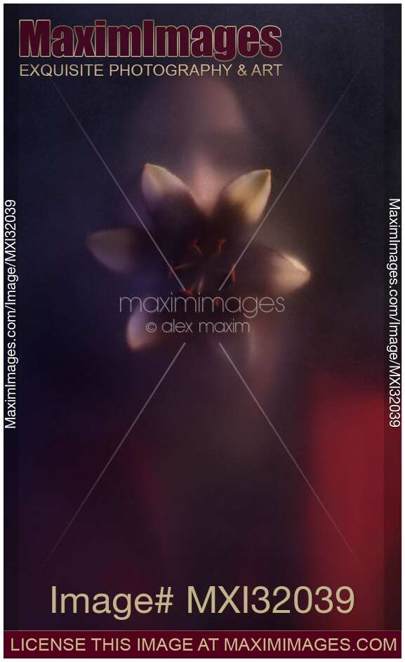 Snake-like monstrous woman with an open lily flower in her mouth standing behind a hazy glass door Nightmare concept
