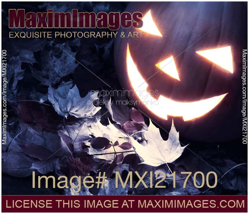 Spooky Jack-o-lantern on Fallen Leaves