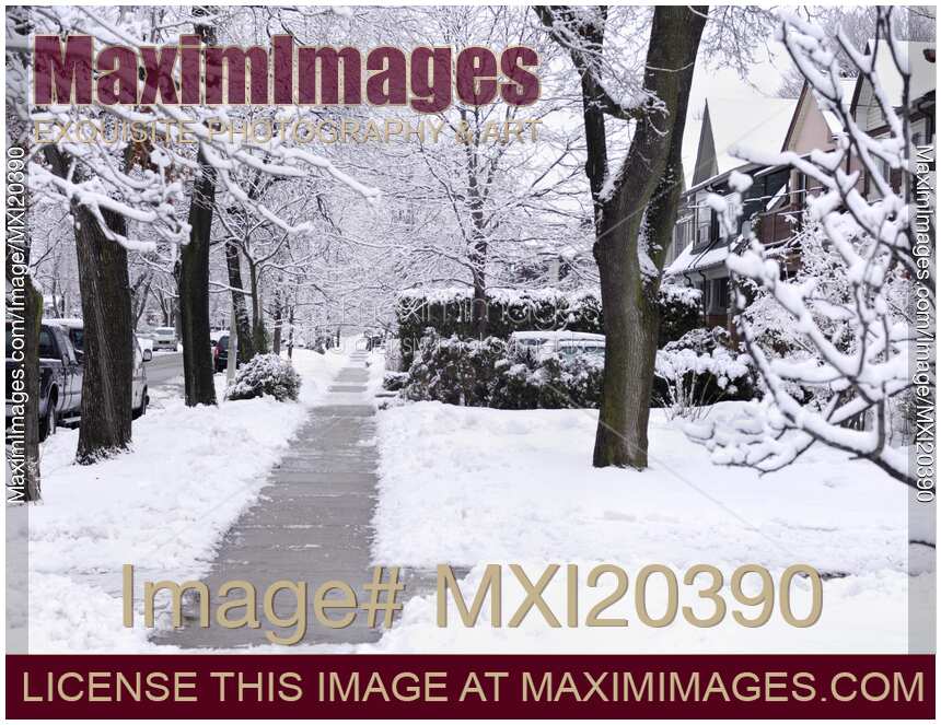 Street covered with snow