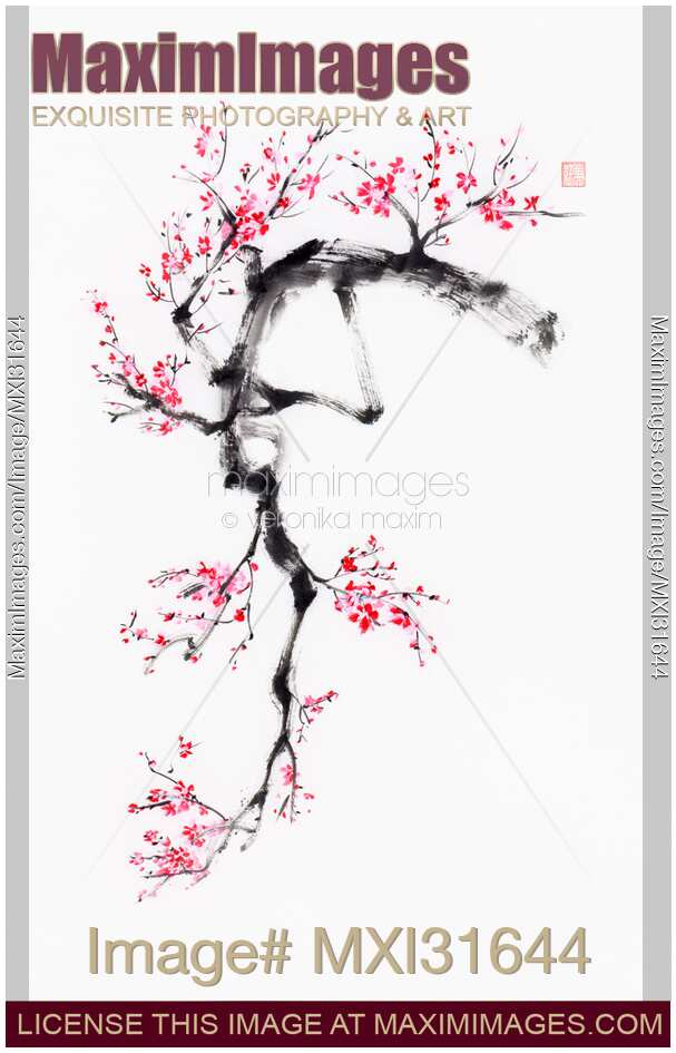 Sumi-e ink painting of a bright cherry blossom branch with many pink flowers