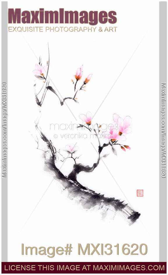 Sumi-e painting of a budding cherry blossom branch with budding flowers