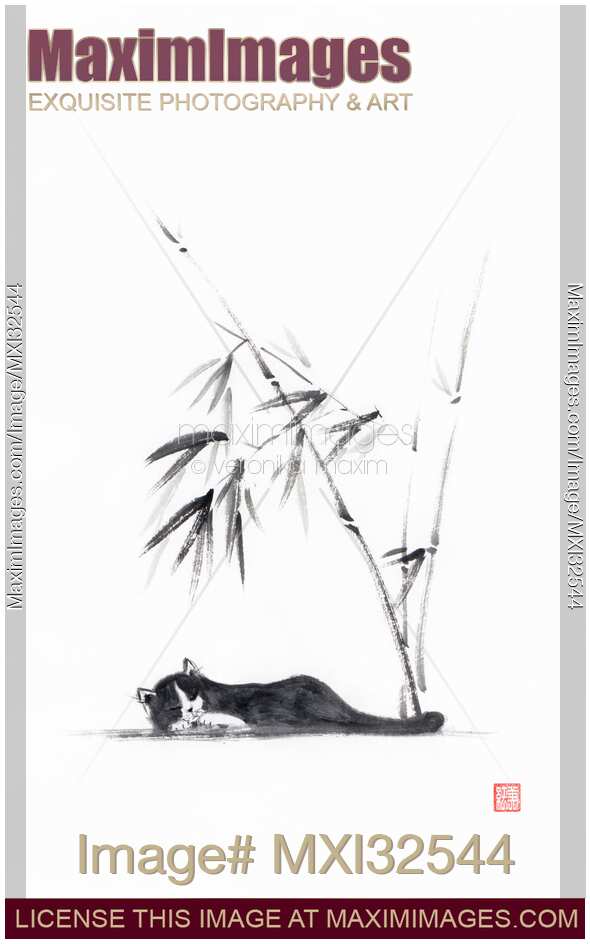 Sumi-e painting of a cute black sleeping cat under bamboo Fine art illustration