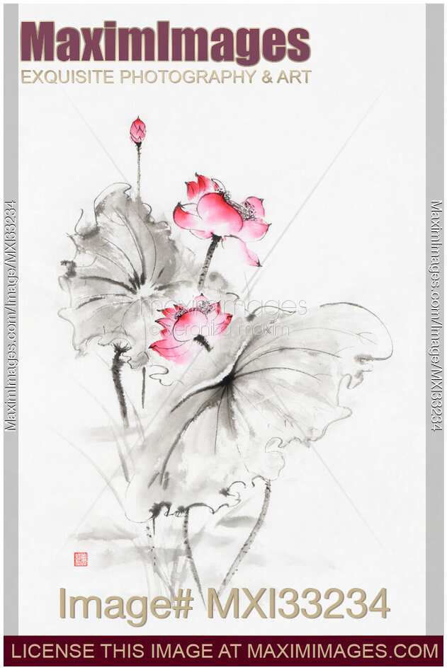 Sumi-e Zen artwork of pink lotus flowers with leaves on white