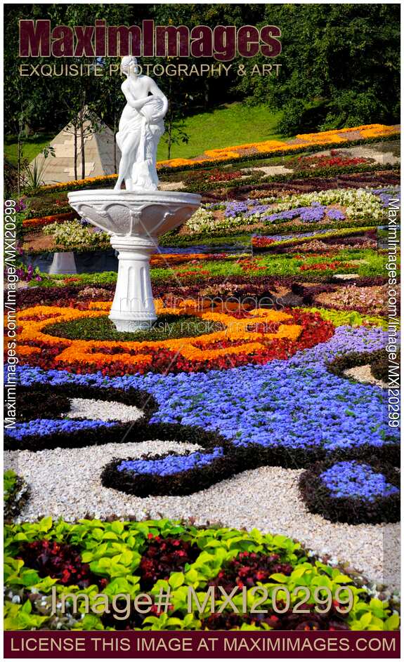 Summer garden beautiful flower design