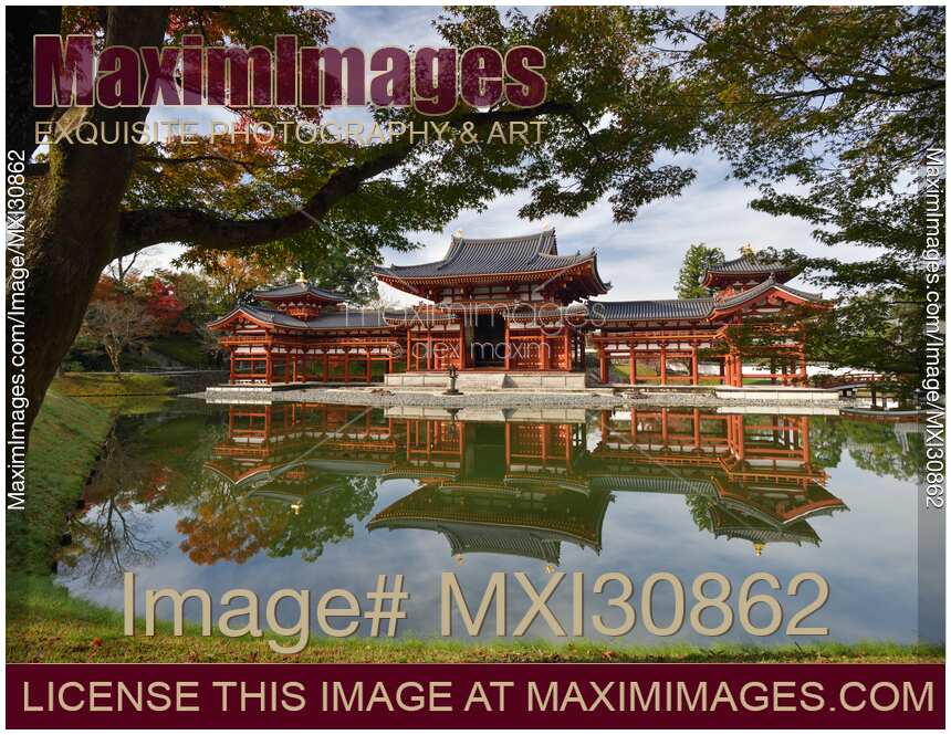 Sunny autumn scenery of the Phoenix Hall also Amida hall of Byodoin temple in Uji Japan