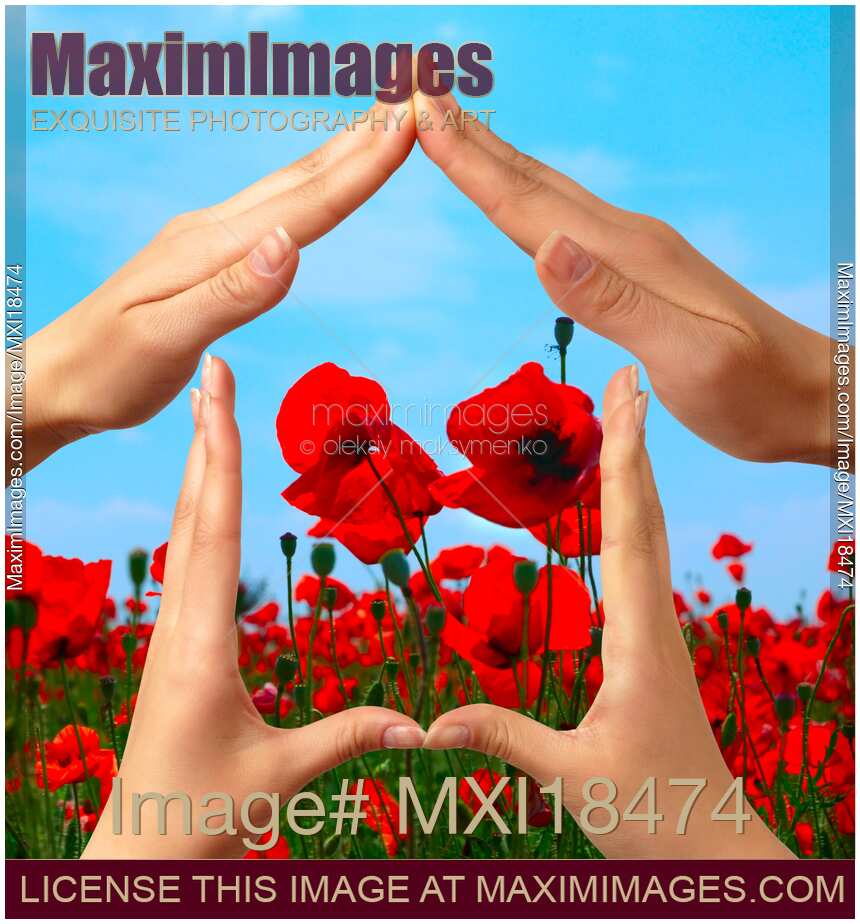 Symbol home over red poppy field