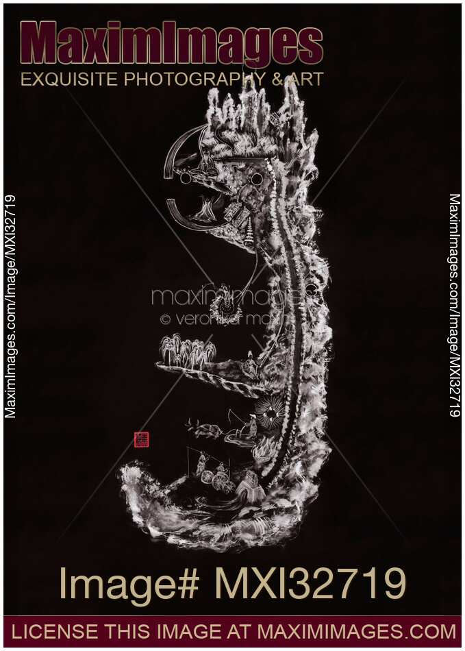 Taoist Classical Nei Jing Tu Chart of Inner Alchemy Nei Dan NeiJingTu on black
