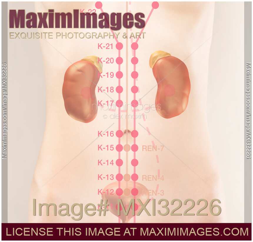TCM Kidney meridian acupuncture points