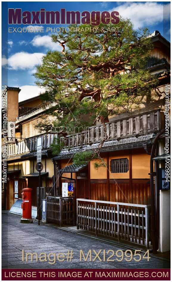 Tea house with pine tree above store front in Gion district Kyoto in the morning