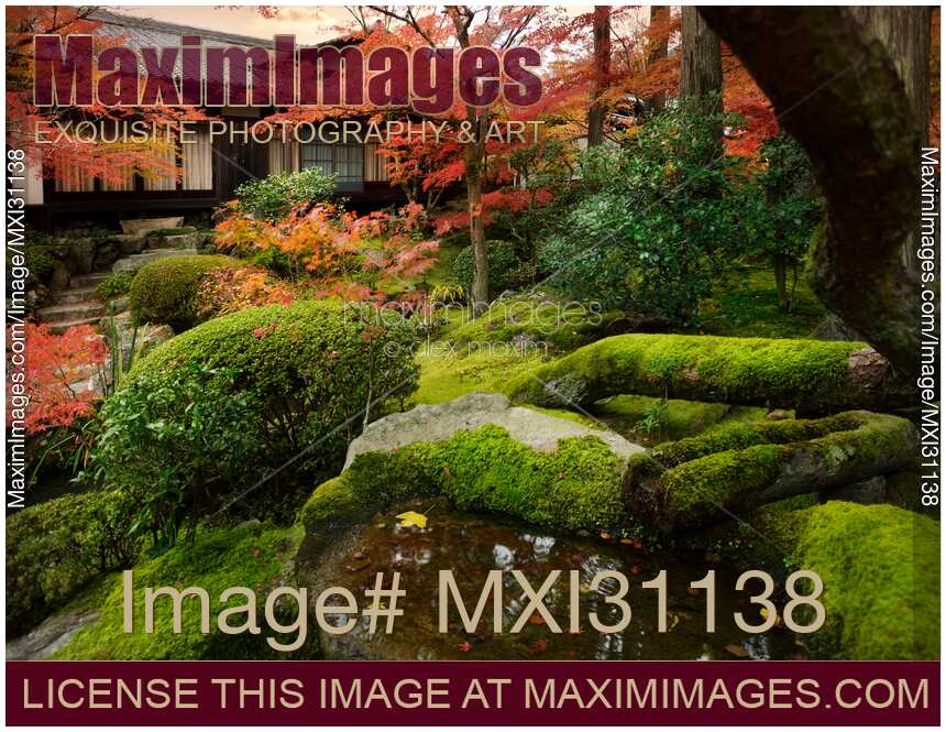 Tenju-an Japanese Temple hall in autumn scenery of a temple garden with a stone water basin