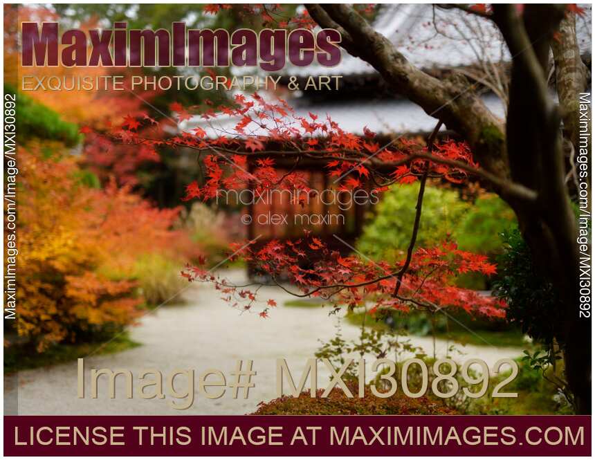 Tenjuan Japanese Temple hall in autumn scenery of a temple garden in Kyoto
