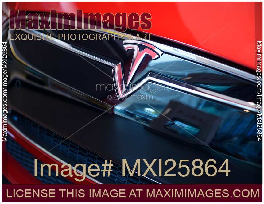 Tesla Motors Emblem on a car closeup