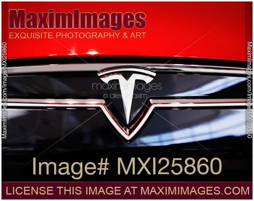 Tesla Motors Emblem on a car