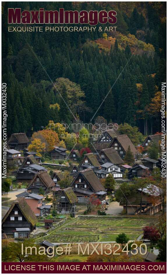 Thatched roof historic Japanese rural houses at Shirakawago traditional village Japan