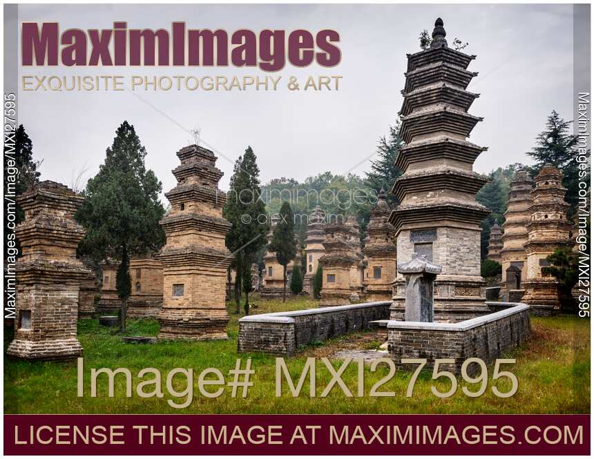 The Pagoda forest at Shaolin Temple in DengFeng China