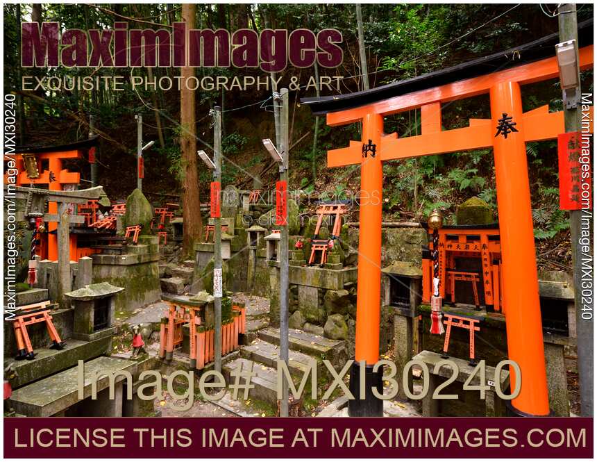 Thousands of small private Shinto shrines at Fushimi Inari Taisha in Kyoto Japan