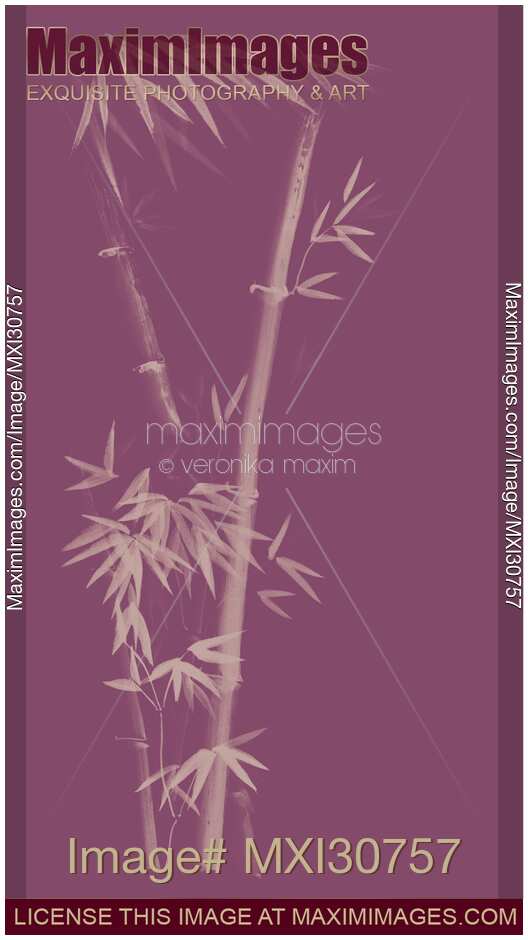 Three bamboo stalks with leaves artistic oriental style design illustration in dusty purple colors