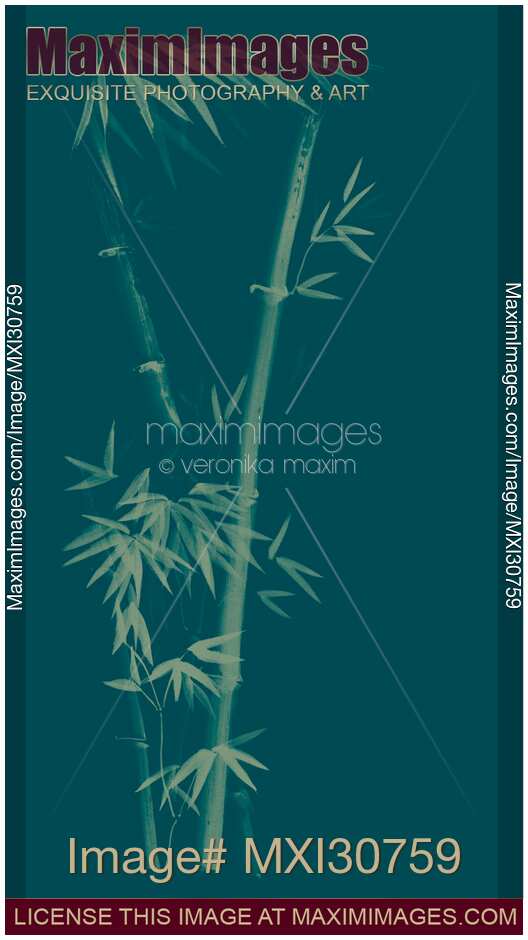 Three bamboo stalks with leaves artistic oriental style design illustration in dusty purple colors