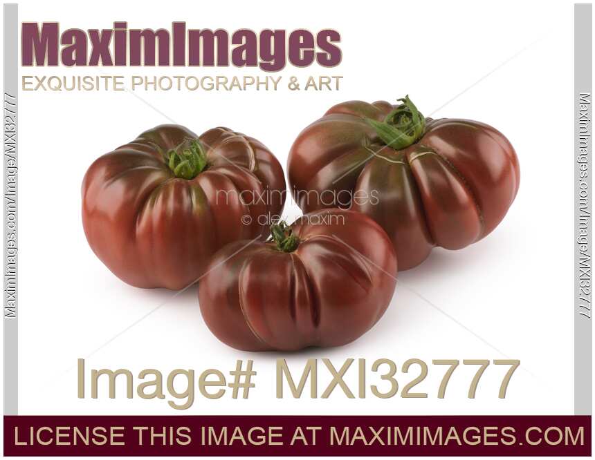 Three dark red organic heirloom tomatoes Black Krim or Crimean Black isolated on white