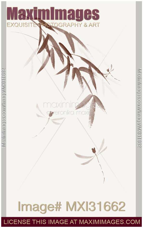 Three dragonflies flying with bamboo branches artistic sumi-e illustration