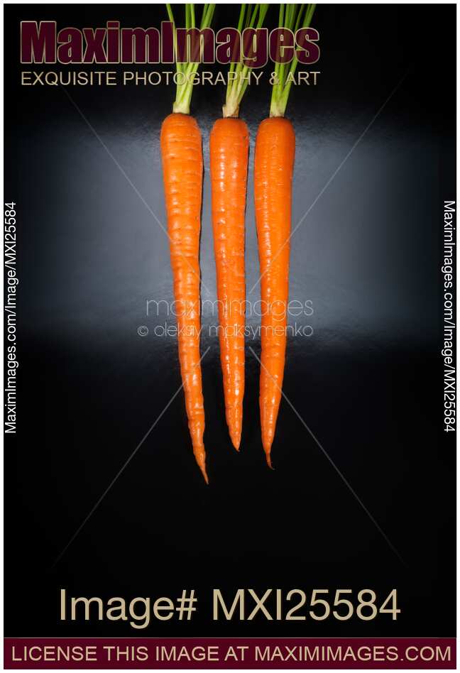 Three orange carrots artistic still life