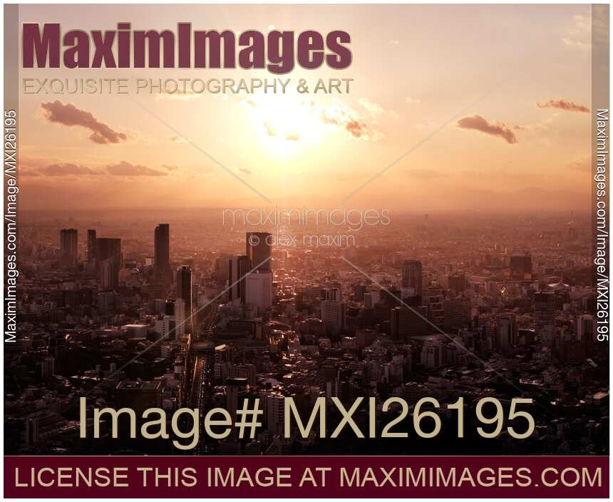 Tokyo city buildings cityscape lit with bright sunset