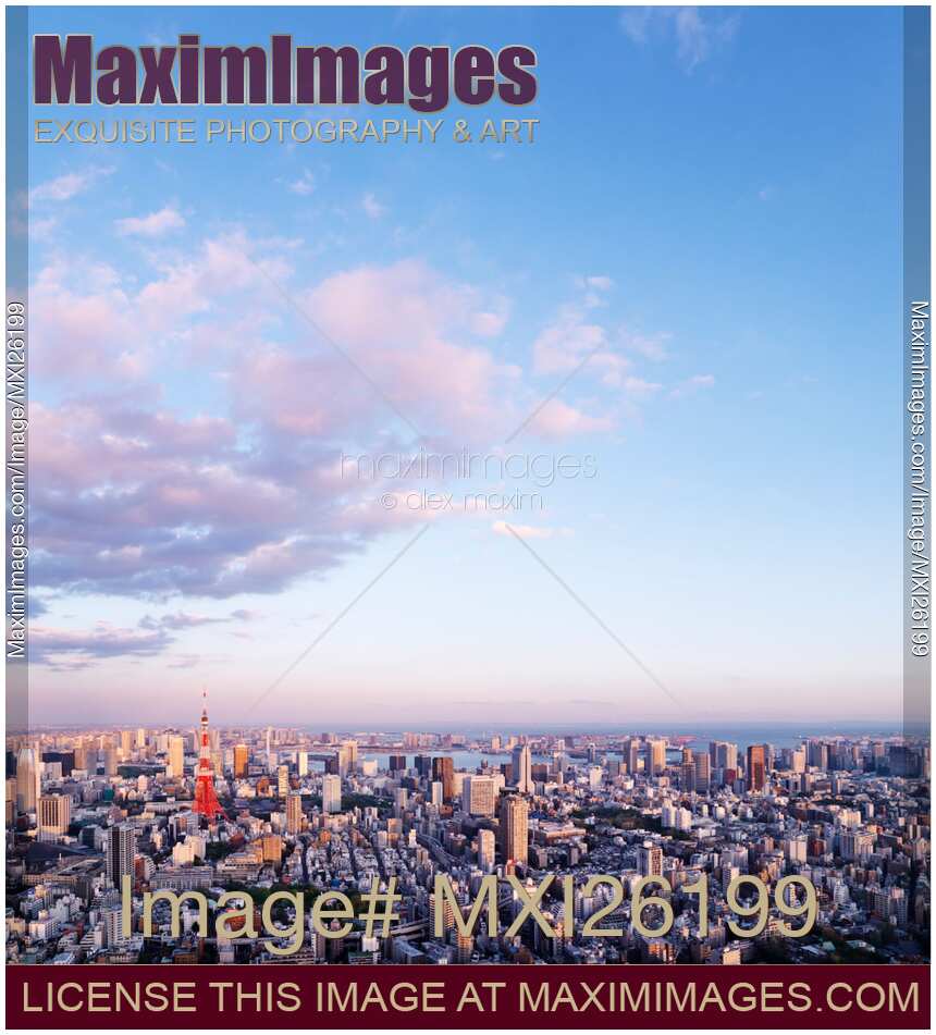 Tokyo city scenery under blue sky