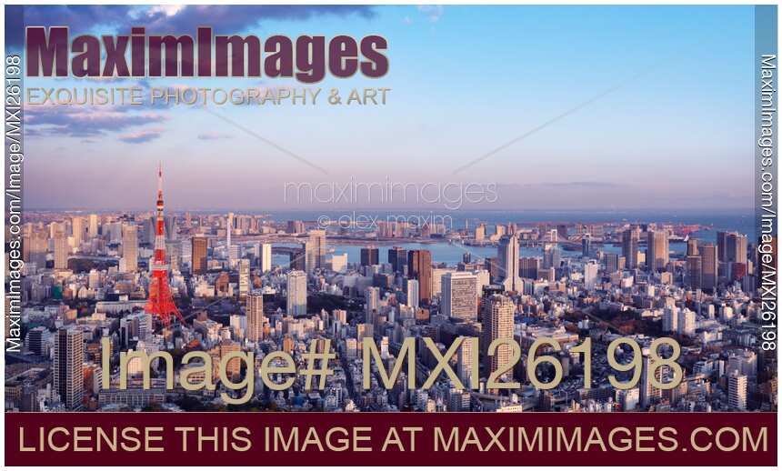 Tokyo panoramic aerial sunset scenery