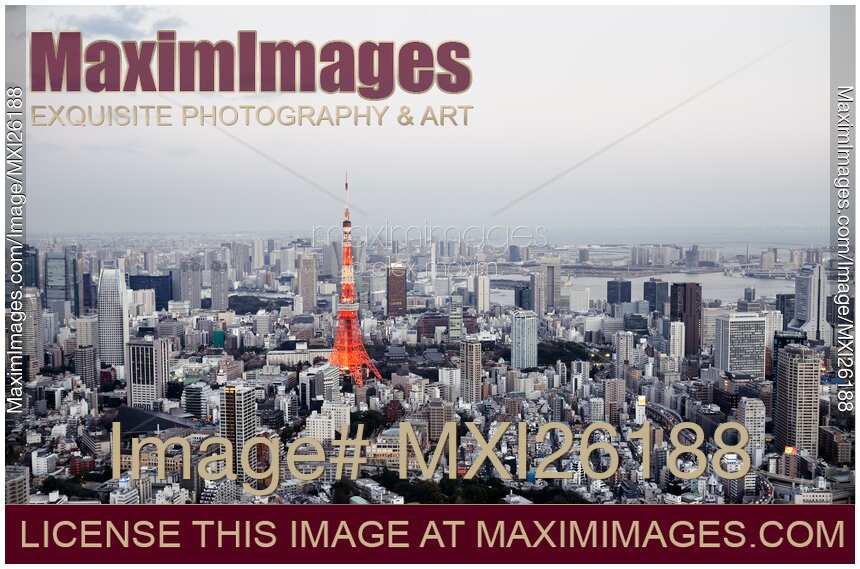 Tokyo Tower and cityscape panoramic view