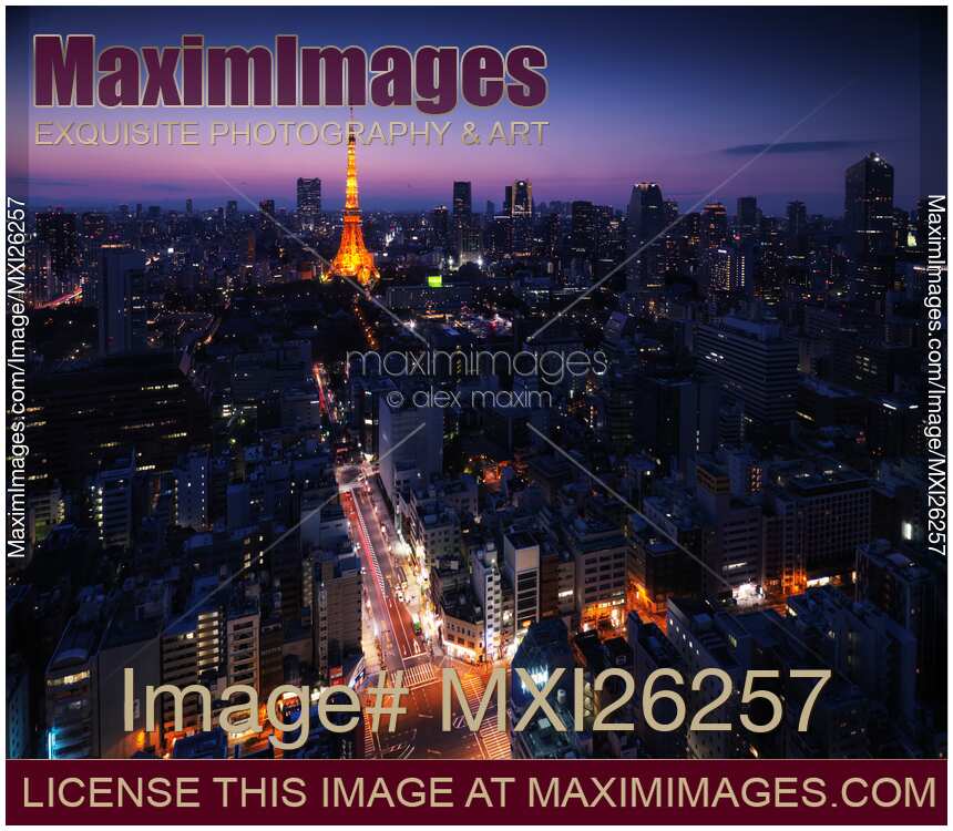 Tokyo tower illuminated at night in cityscape
