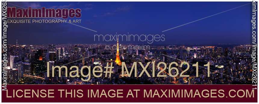Tokyo tower in city panoramic nighttime scenery